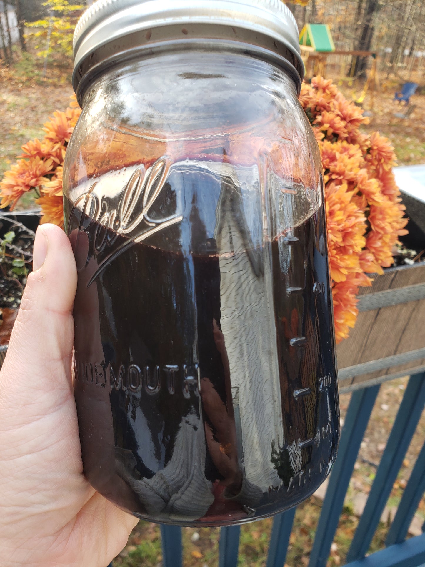 Elderberry Syrup kit