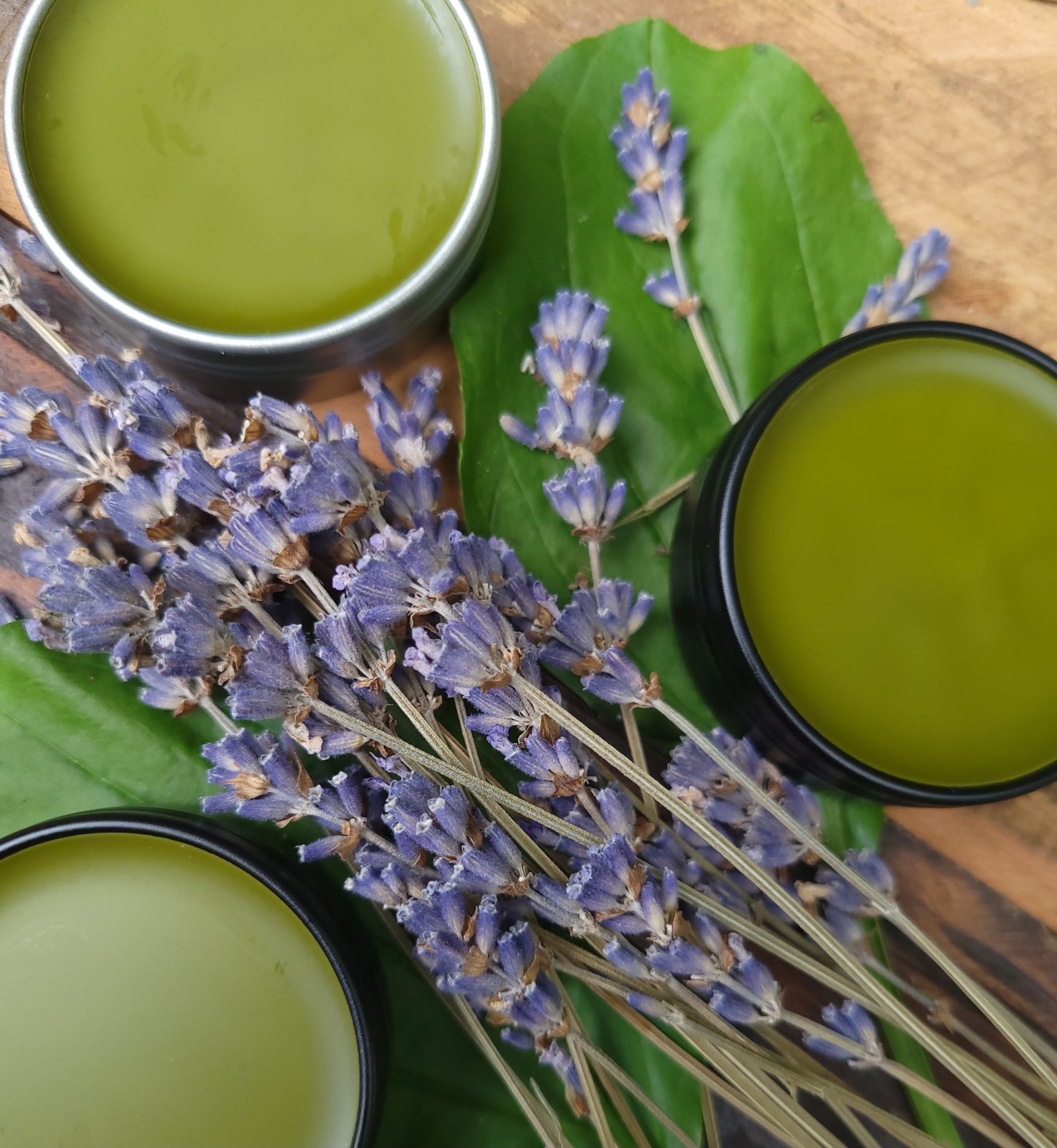 Plantain and Lavender Salve